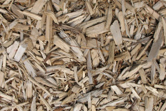 biomass boilers Minto